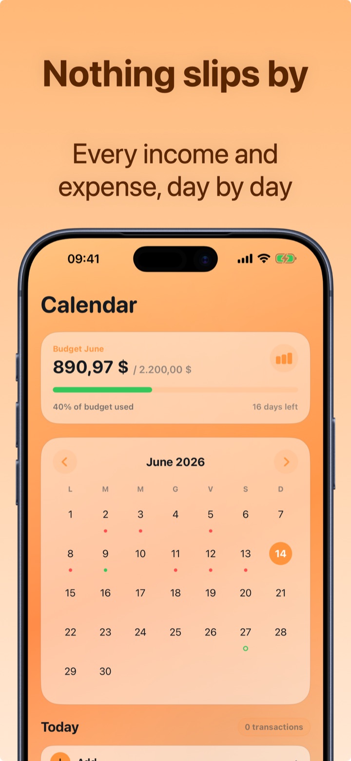 Day-by-day expense calendar with monthly budget